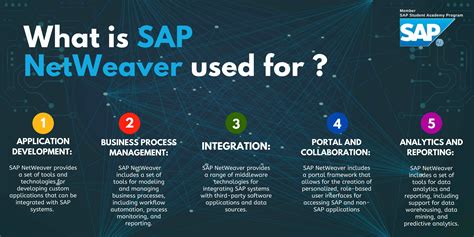 SAP NetWeaver .